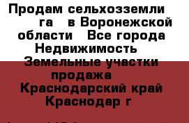 Продам сельхозземли ( 6 000 га ) в Воронежской области - Все города Недвижимость » Земельные участки продажа   . Краснодарский край,Краснодар г.